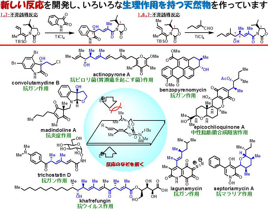 lab_hosokawa_01b