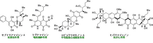 lab_hosokawa_02