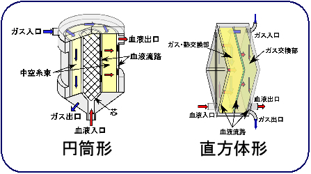 lab_kohori_02